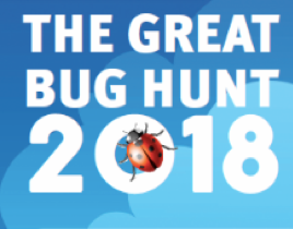 Image result for the great bug hunt 2018